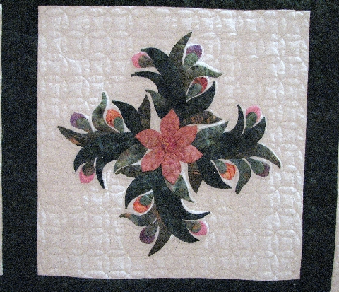 Closeup View